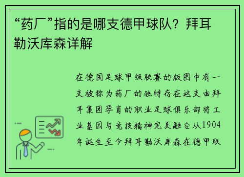 “药厂”指的是哪支德甲球队？拜耳勒沃库森详解